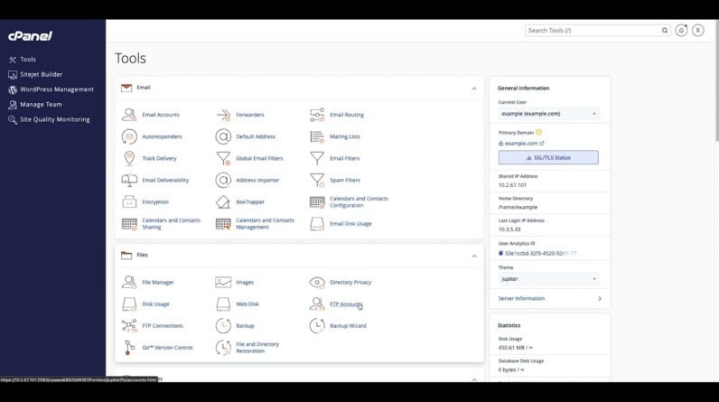 cPanel Tutorials - The FTP Accounts Interface